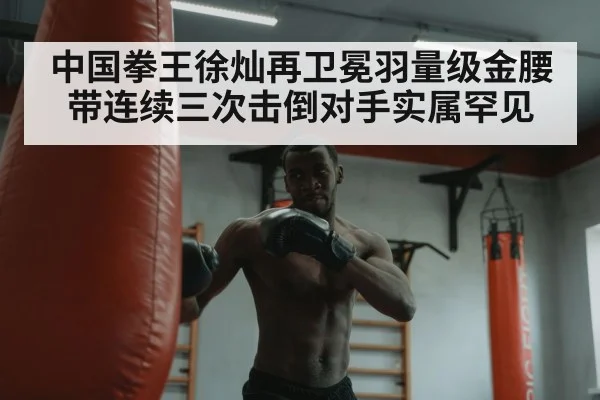 boxer training heavy bag